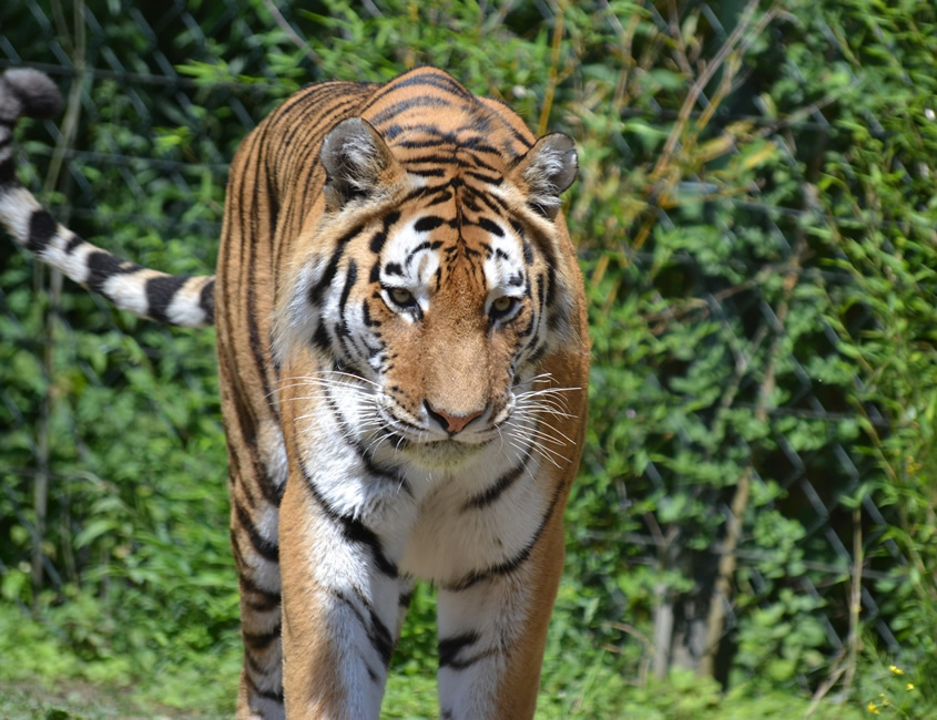 Uttranchal Tour Image 1